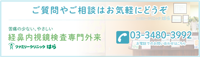 苦痛の少ない、やさしい 経鼻内視鏡検査専門外来 ファミリークリニックはら TEL:03-3480-3992